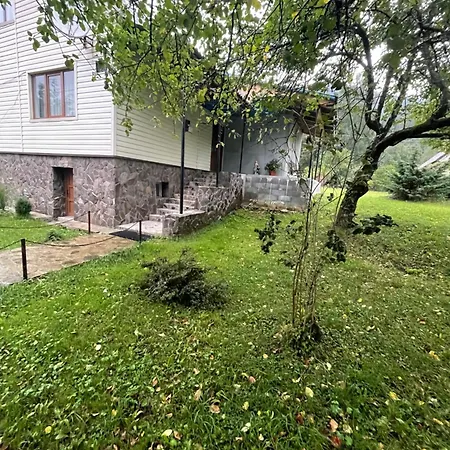 затишний дім Tatil Evi Synevyr