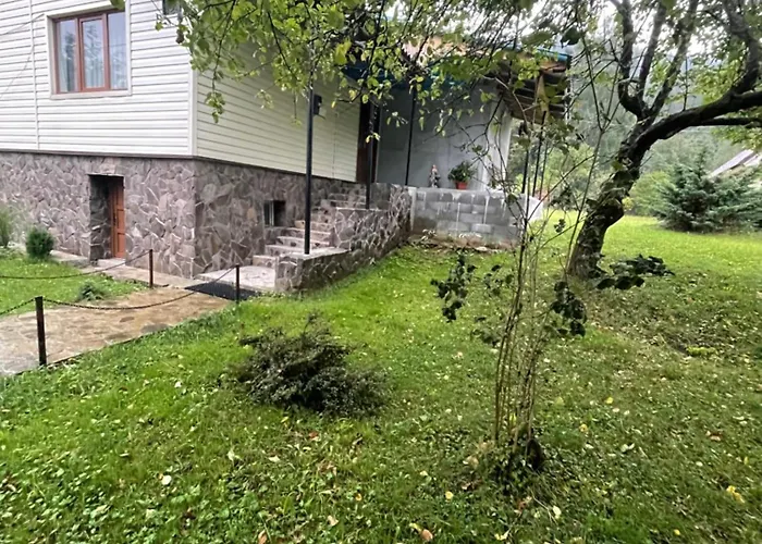 затишний дім Tatil Evi Synevyr